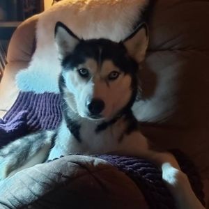 Meet your Posher, Lori